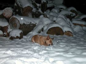 Mein Schnee.